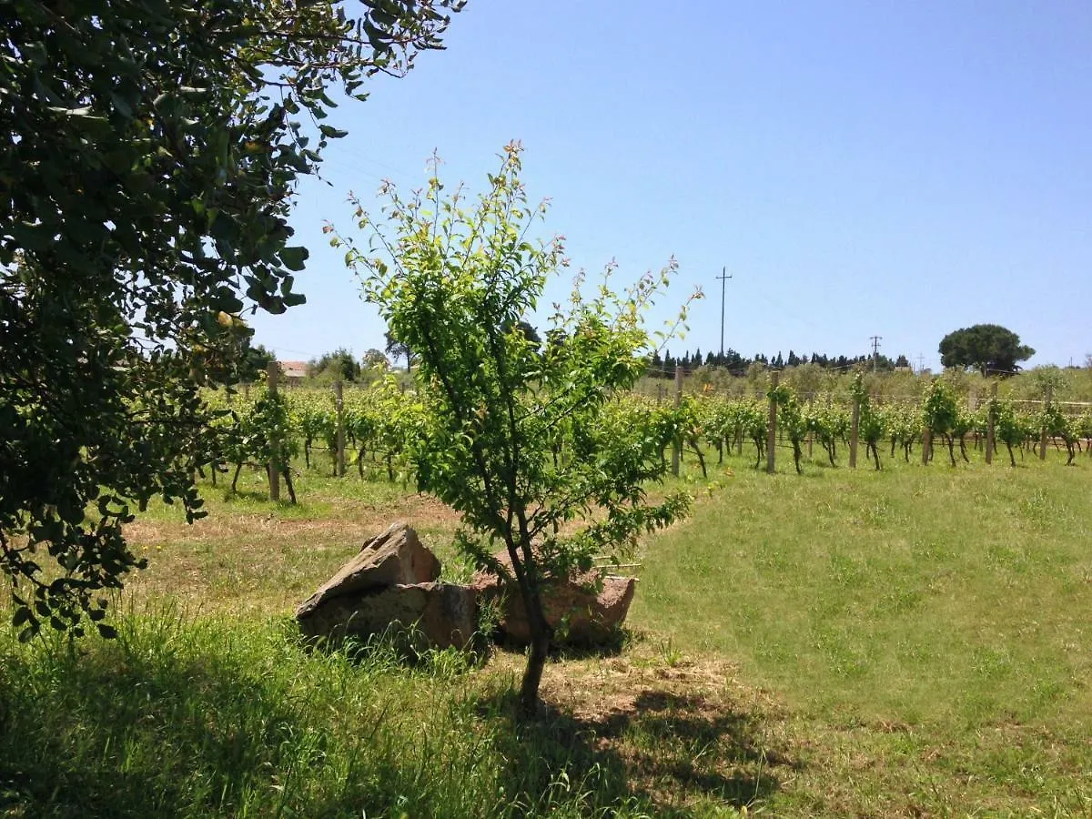 Apartamento Residenza I Filari Alguer